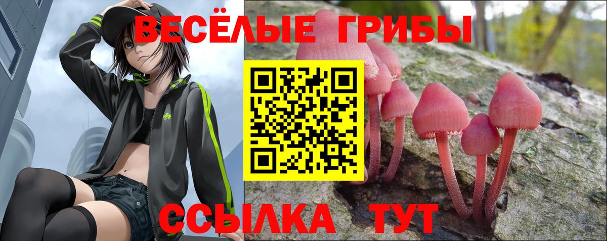 Галлюциногенные грибы GOLDEN TEACHER Северск