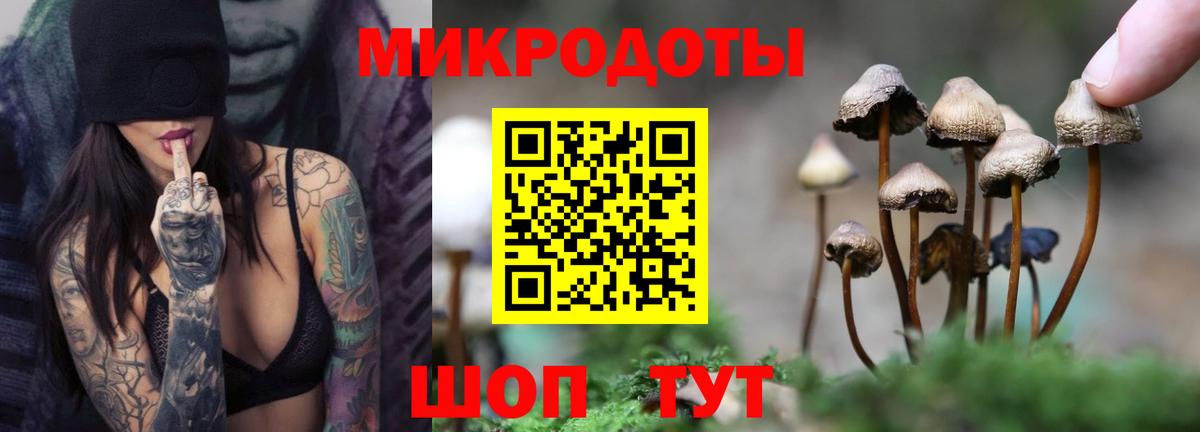 Галлюциногенные грибы GOLDEN TEACHER  Вход с VPN  Северск  где продают наркотики  Галлюциногенные грибы прущие грибы 